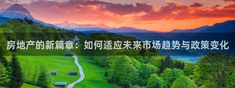 新宝5测速在线：房地产的新篇章：如何适应未来市场趋势与政策变