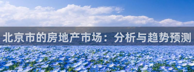 新宝5是谁的：北京市的房地产市场：分析与趋势预测
