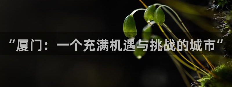 新宝5网址：“厦门：一个充满机遇与挑战的城市”