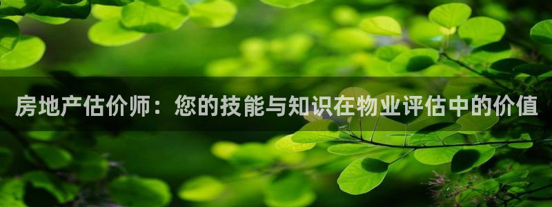 新宝5电脑：房地产估价师：您的技能与知识在物业评估中的价值