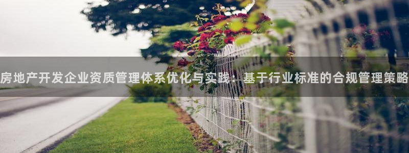 新宝5寂创33300散：房地产开发企业资质管理体系优化与实践