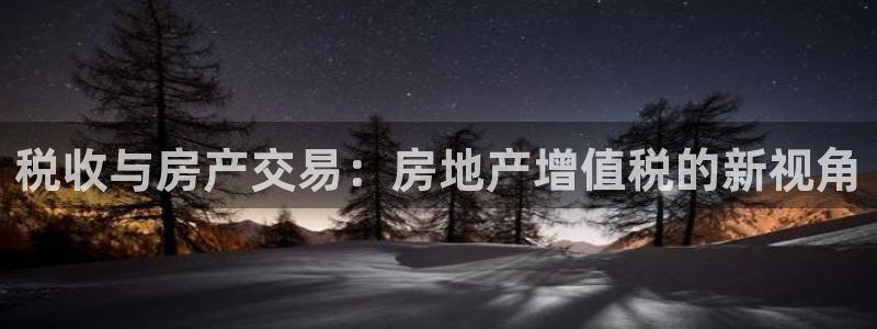 新宝5测登录：税收与房产交易：房地产增值税的新视角