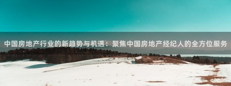 新宝娱乐5入口：中国房地产行业的新趋势与机遇：聚焦中国房地产