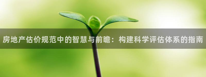 新宝5官方：房地产估价规范中的智慧与前瞻：构建科学评估体系的