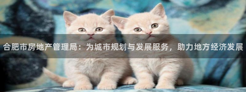 新5宝：合肥市房地产管理局：为城市规划与发展服务，助力地方经