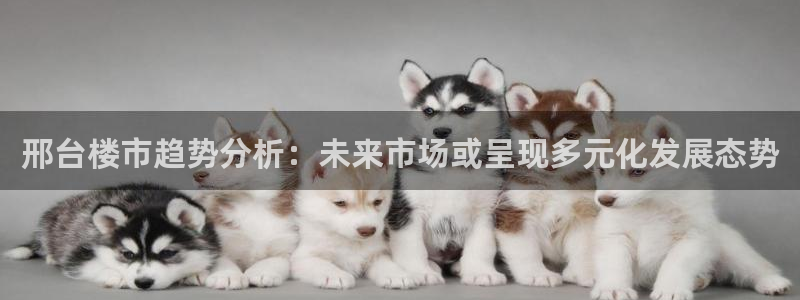 新宝5娱乐主管：邢台楼市趋势分析：未来市场或呈现多元化发展态