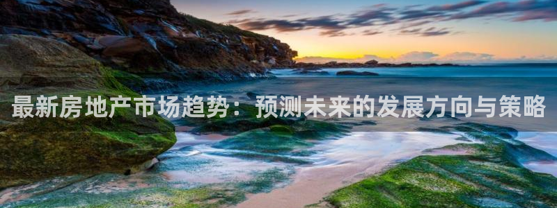新宝5 888：最新房地产市场趋势：预测未来的发展方向与策略