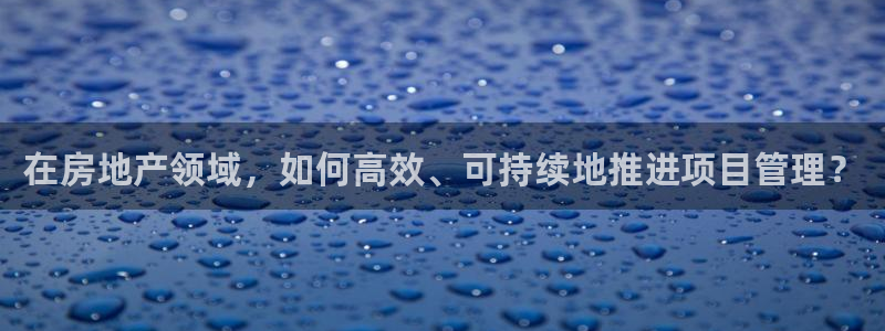 新宝5总代：在房地产领域，如何高效、可持续地推进项目管理？