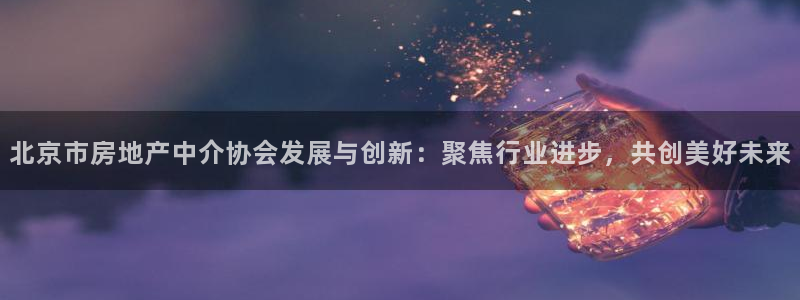 新宝3得74OO5：北京市房地产中介协会发展与创新：聚焦行业