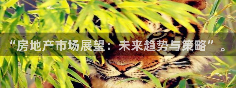 新宝5 测速：“房地产市场展望：未来趋势与策略”。