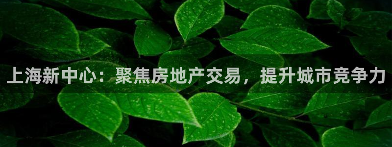 新宝5是什么：上海新中心：聚焦房地产交易，提升城市竞争力
