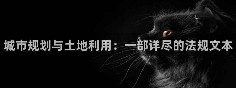 新宝5下载注册：城市规划与土地利用：一部详尽的法规文本