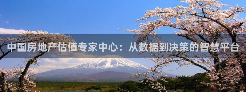 新宝5尤74OOO5：中国房地产估值专家中心：从数据到决策的