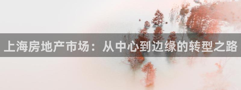 新宝5台卡：上海房地产市场：从中心到边缘的转型之路