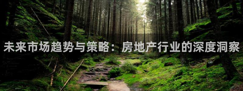 新宝5线路：未来市场趋势与策略：房地产行业的深度洞察