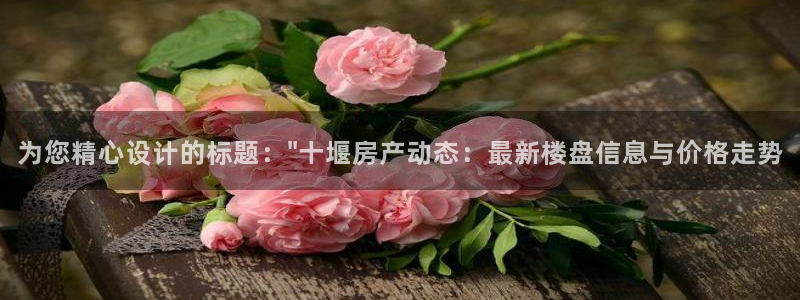 新宝5褚32OO59：为您精心设计的标题：\