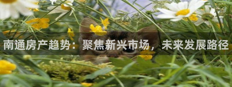 新宝5测速线路：南通房产趋势：聚焦新兴市场，未来发展路径