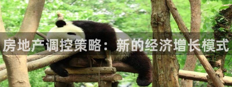新宝5安卓版：房地产调控策略：新的经济增长模式