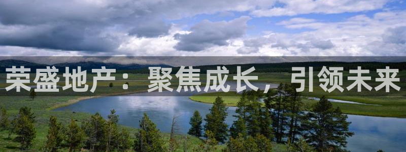 新宝5入口：荣盛地产：聚焦成长，引领未来