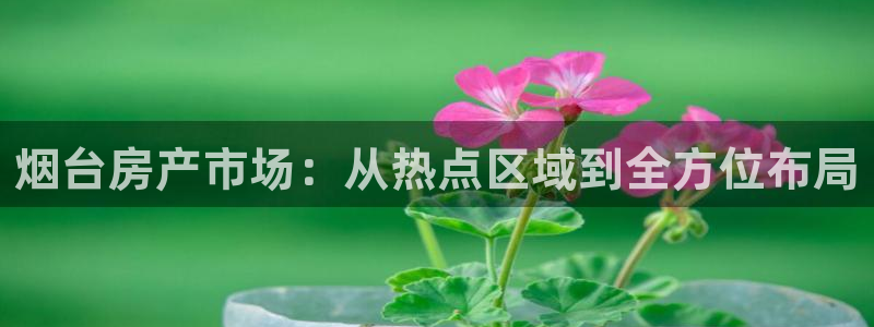 新宝5平台注册资金：烟台房产市场：从热点区域到全方位布局