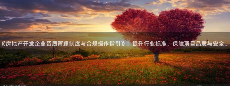 新宝5官网平台：《房地产开发企业资质管理制度与合规操作指引》