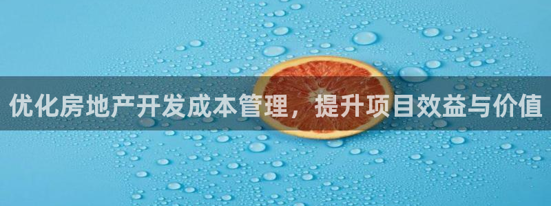 新宝rc_5w：优化房地产开发成本管理，提升项目效益与价值