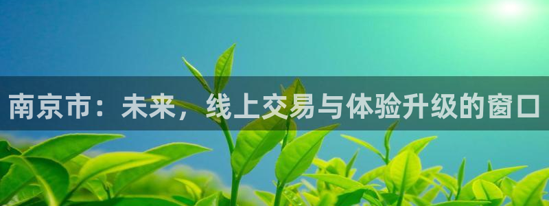 新宝5客户端登录：南京市：未来，线上交易与体验升级的窗口