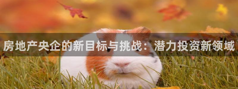 新宝5娱乐注册：房地产央企的新目标与挑战：潜力投资新领域