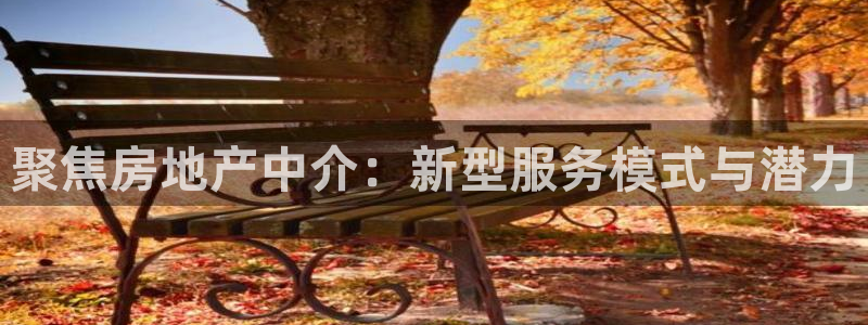 新宝5招商：聚焦房地产中介：新型服务模式与潜力