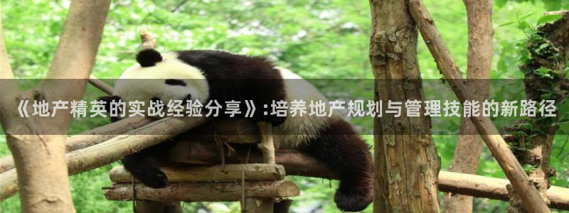 新宝5可靠吗：《地产精英的实战经验分享》:培养地产规划与管理
