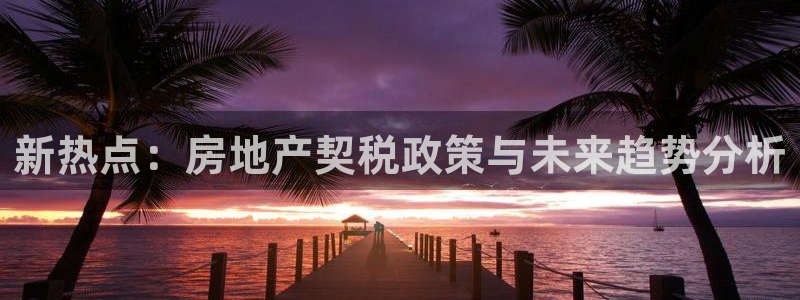 新宝5娱乐没：新热点：房地产契税政策与未来趋势分析