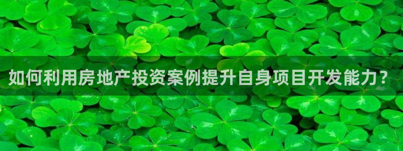 新宝5开户：如何利用房地产投资案例提升自身项目开发能力？