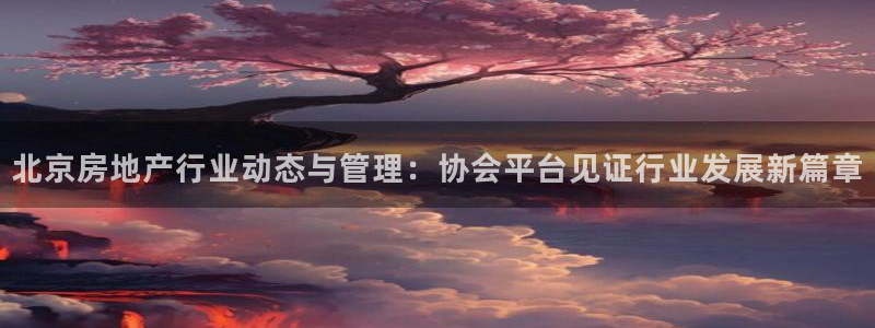 新宝gg5：北京房地产行业动态与管理：协会平台见证行业发展新