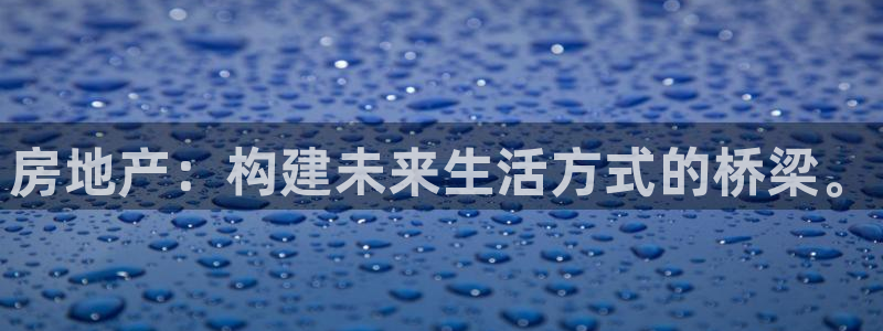 新宝5线路登录：房地产：构建未来生活方式的桥梁。