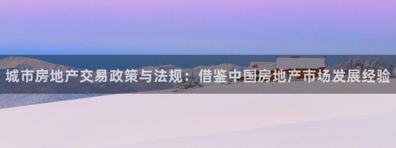 新宝5账号注册：城市房地产交易政策与法规：借鉴中国房地产市场