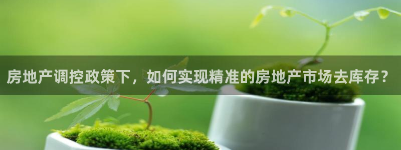 新宝5登录霸：房地产调控政策下，如何实现精准的房地产市场去库