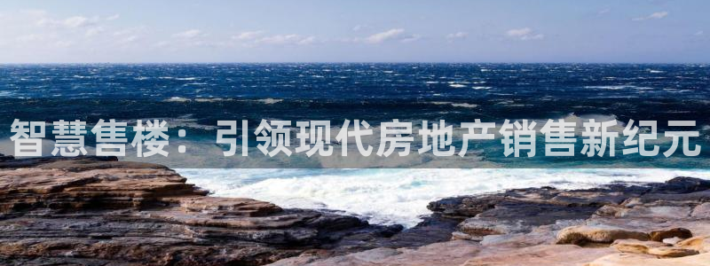 新宝5娱乐手机登录：智慧售楼：引领现代房地产销售新纪元