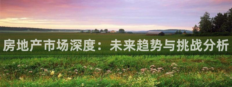 新宝5登录测速中心：房地产市场深度：未来趋势与挑战分析