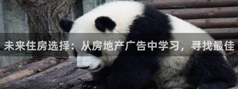 新宝5蒋74OOO5：未来住房选择：从房地产广告中学习，寻找