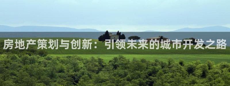 新宝5注册平台：房地产策划与创新：引领未来的城市开发之路