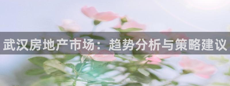 新宝5开户：武汉房地产市场：趋势分析与策略建议