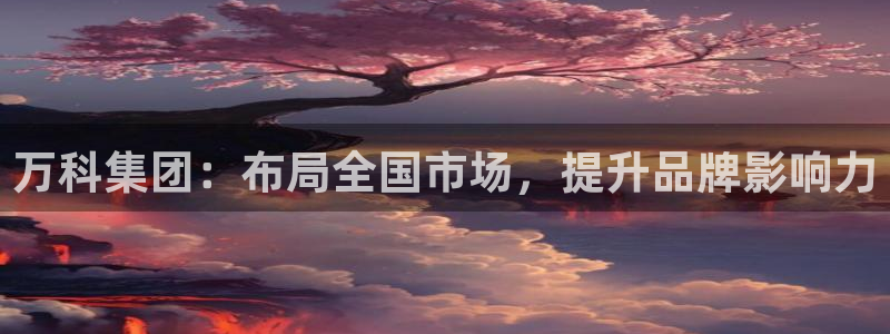 新宝5彩票娱乐平台：万科集团：布局全国市场，提升品牌影响力