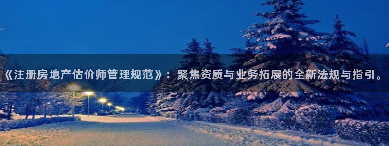 新宝5怎么下载到桌面：《注册房地产估价师管理规范》：聚焦资质
