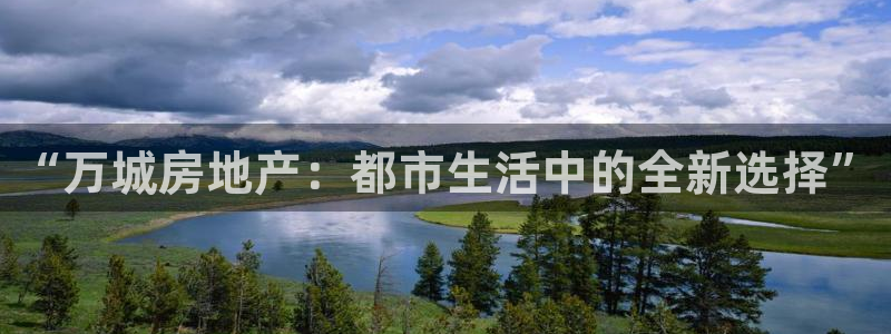 新宝5注册账号：“万城房地产：都市生活中的全新选择”