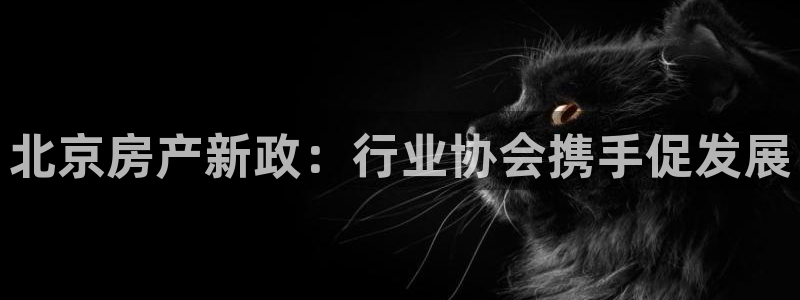 新宝5怎么代理：北京房产新政：行业协会携手促发展