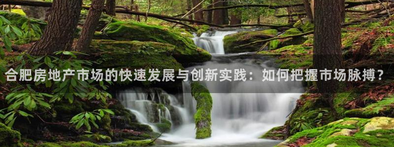 新宝5手机下载：合肥房地产市场的快速发展与创新实践：如何把握