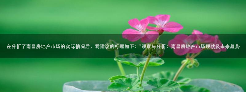 新宝5下载软件：在分析了南昌房地产市场的实际情况后，我建议的