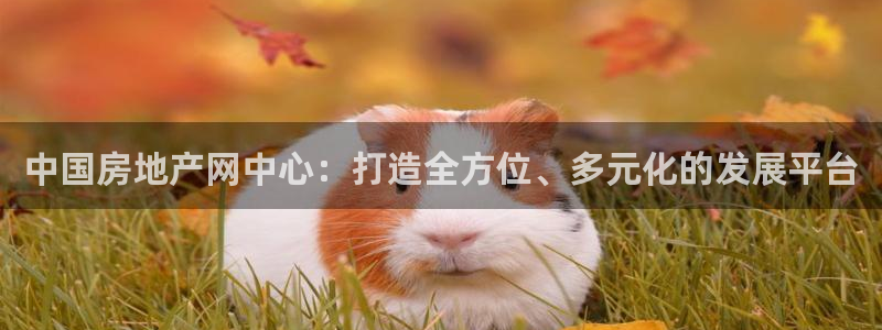 新宝骏rc5W：中国房地产网中心：打造全方位、多元化的发展平