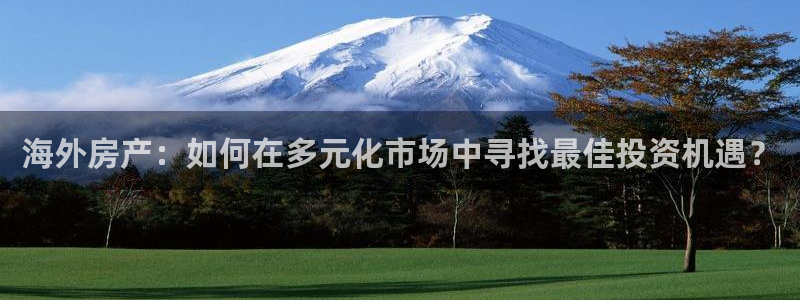新宝5娱乐家：海外房产：如何在多元化市场中寻找最佳投资机遇？