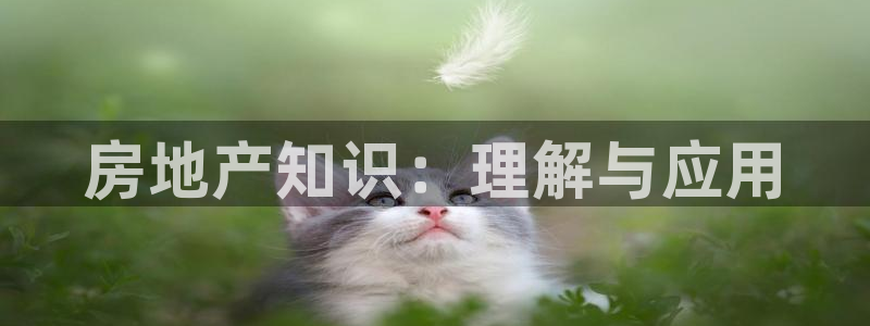 新宝5主管：房地产知识：理解与应用